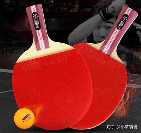 预算100元diy乒乓球拍搭配方案