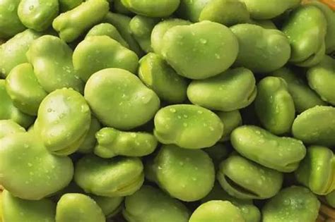 食用蚕豆对人体有哪些好处