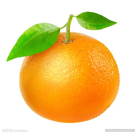 香香橙子写真