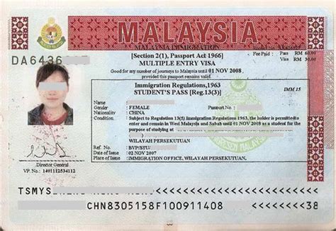 马来西亚签证什么样子