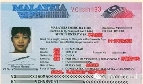 马来西亚签证最佳年龄