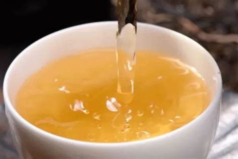 鲜茶叶可以直接泡水吗