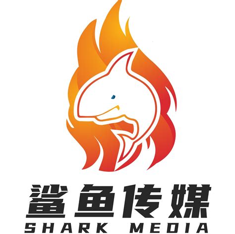 鲨鱼文化传媒公司