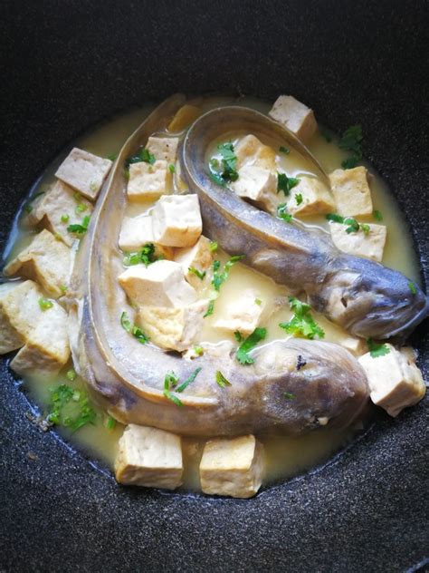 鲶鱼炖豆腐的正确方法