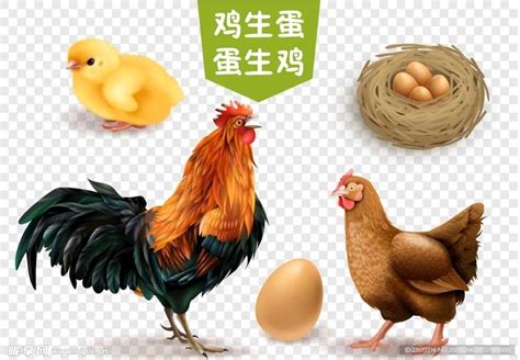 鸡和蛋商标取什么名字