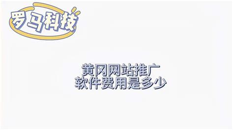 黄冈网站推广软件视频