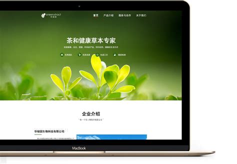 黄山网站运营优化系统