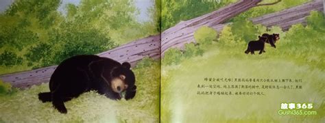 黑熊的旅行读后感400字四年级