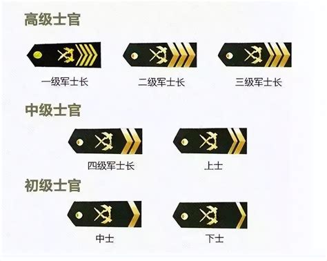 07一期士官军衔标志