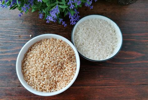 100克糙米可以煮多少糙米饭