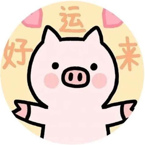 2019猪宝宝乳名大全