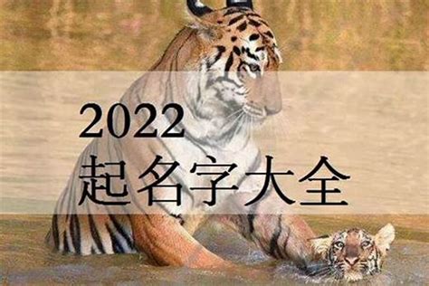 2022年属虎好听的名字