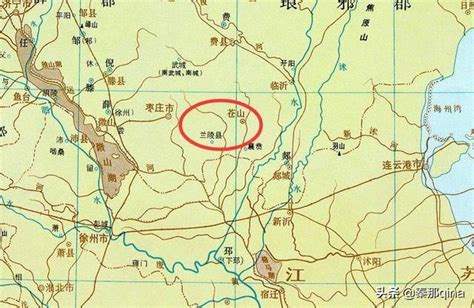 2023山东省兰陵县猪价