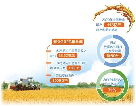 2023年中国粮食产量预测