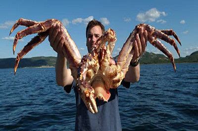 3公斤巨型帝王蟹