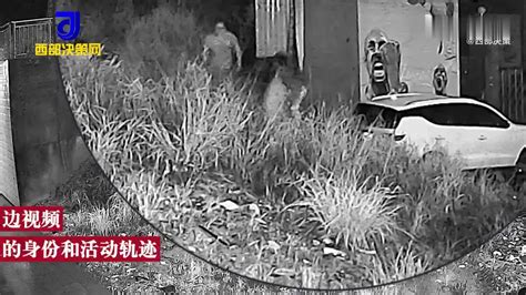 3名男子偷150斤荔枝