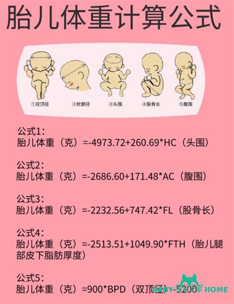 37周胎儿腹围标准对照表