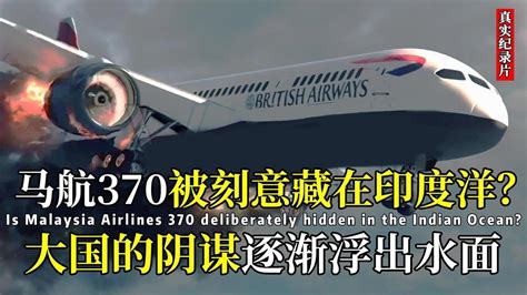 370飞机失踪视频