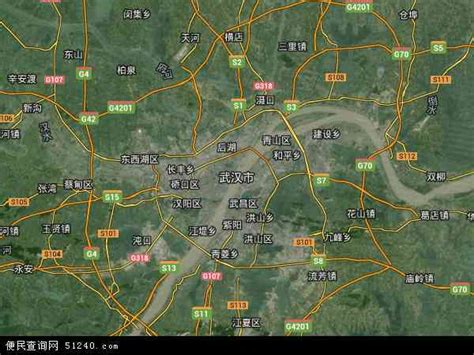 3d卫星地图看武汉