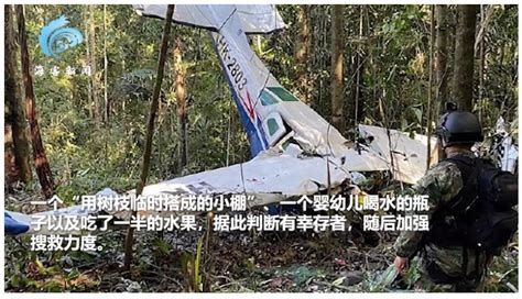 4名儿童坠机40天后获救现状