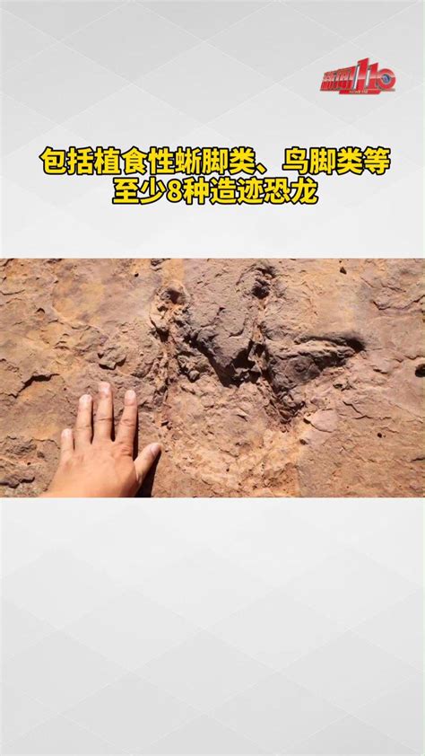 6岁小男孩发现恐龙脚印