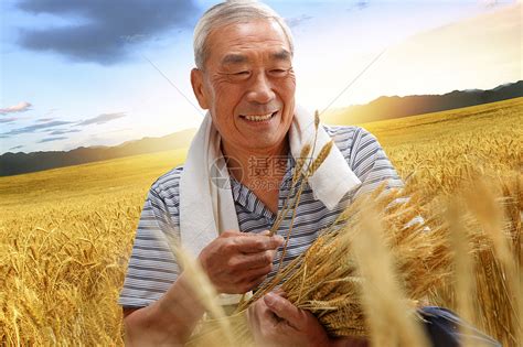 70岁农民捡小麦