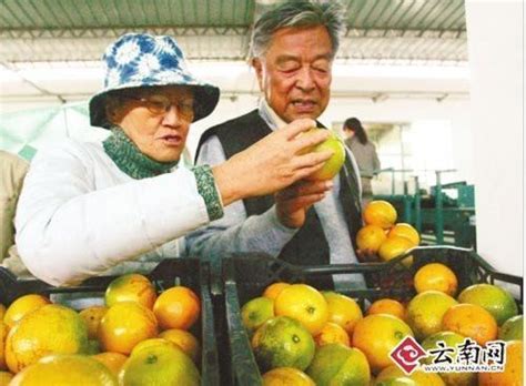 75岁老头卖橙子