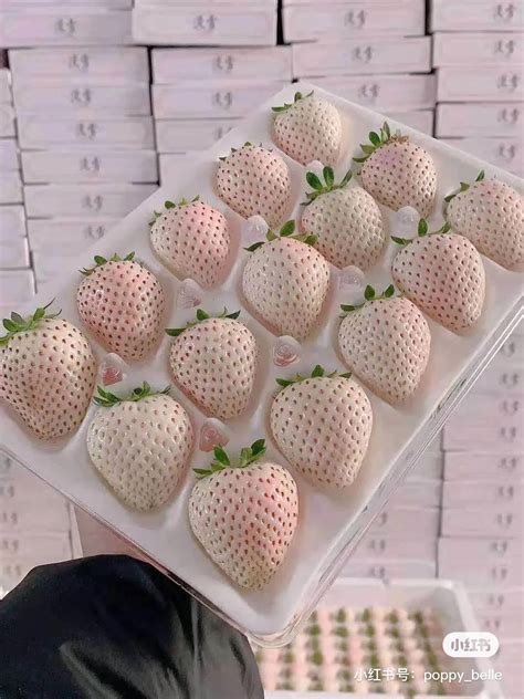 800块钱一颗草莓