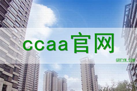 CCAA网站设计