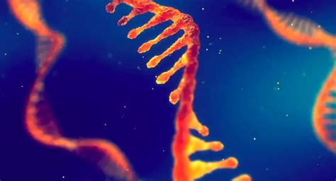 RNA生命起源假说