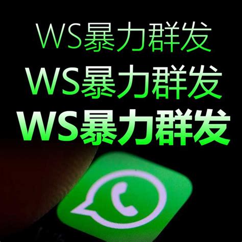 WhatsApp引流软件