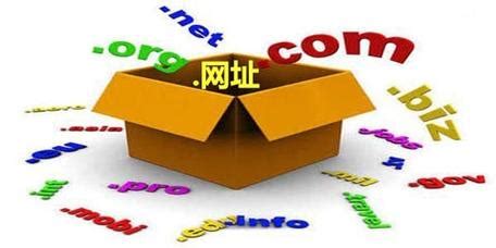 baidu.com是国际域名吗