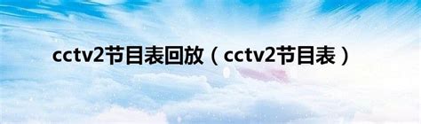 cctv2节目表回放
