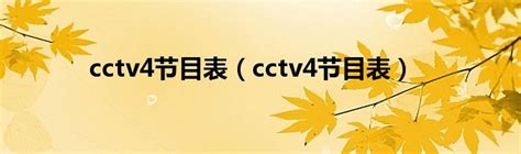 cctv4节目表今天