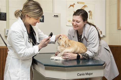 clinical veterinary medicine