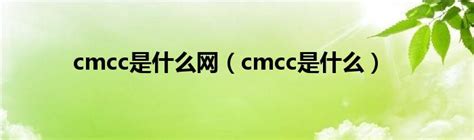 cmcc代表什么