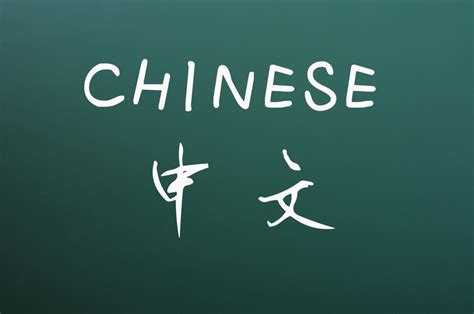 detrimental的中文