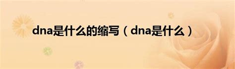 dna是什么的缩写