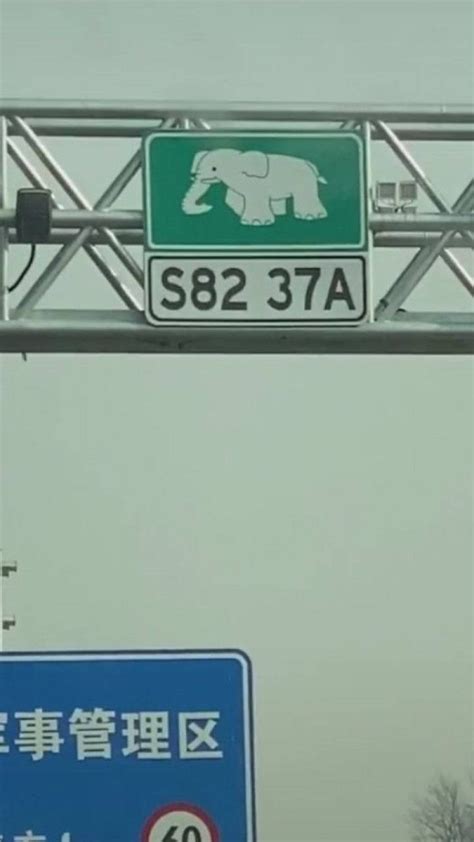 g4高速大象图标什么意思
