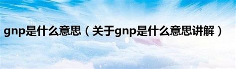 gnp是什么意思简单说