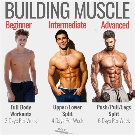 how to gain muscle in the gym