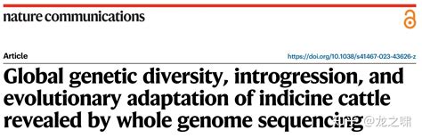 k基因在印度进化了多少年
