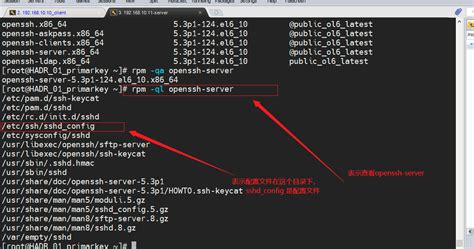 linux查询服务器硬件配置