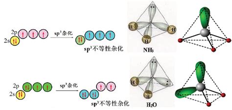 nh3分子杂化类型示意图