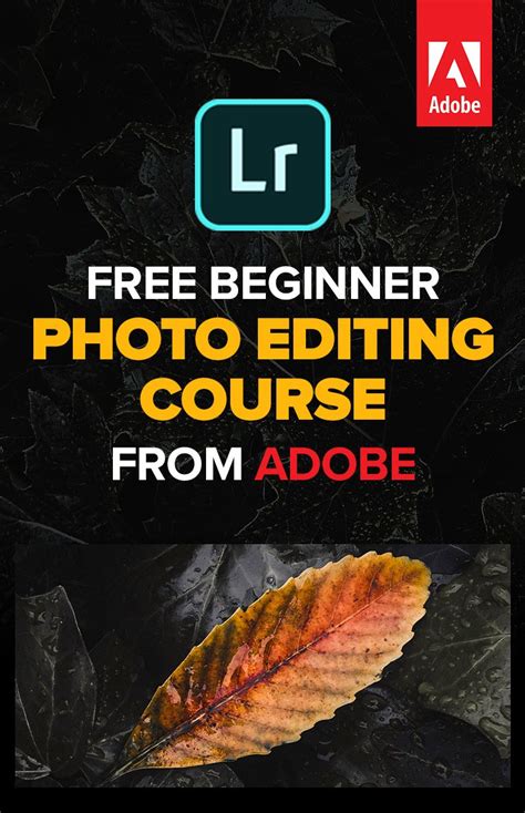 photo editing courses
