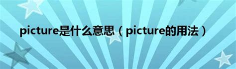 picture dictionary software图片