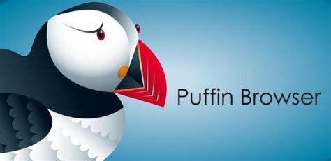 puffin浏览器无网络