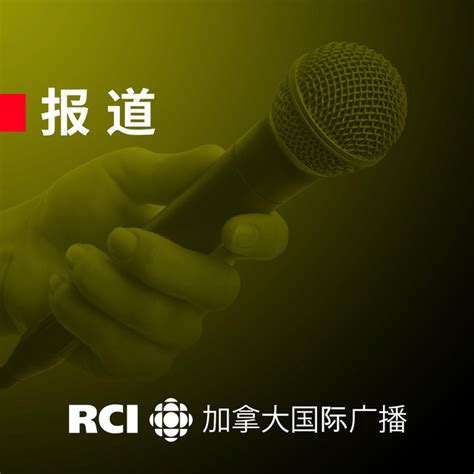 rci中文网站登陆