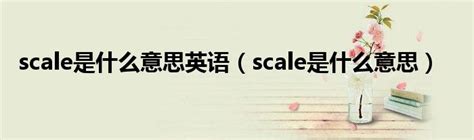 scale是什么意思