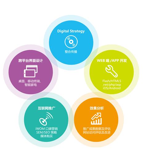 seo网络推广产品服务